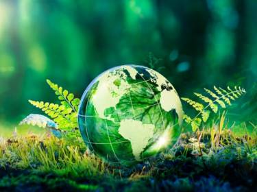 Monitoringul resurselor naturale